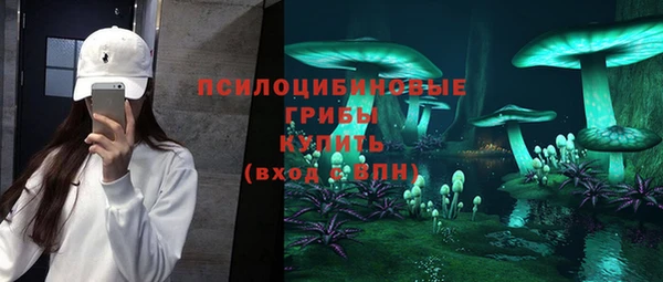 тгк Арсеньев