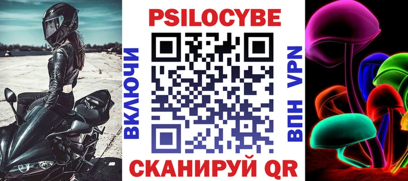 omg как войти где найти Нытва даркнет формула Псилоцибиновые грибы Cubensis